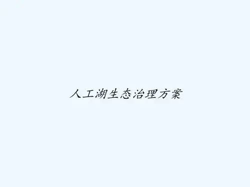 人工湖生态治理方案 PPT