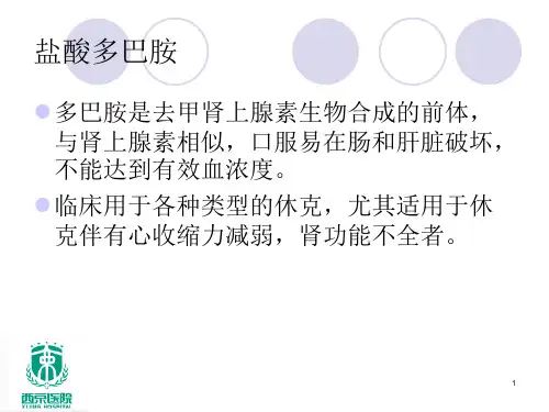 多巴胺渗漏的原因分析及护理(课堂PPT)