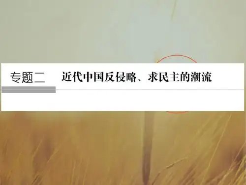 2018版高考历史人民版 全国版大一轮复习配套课件：必