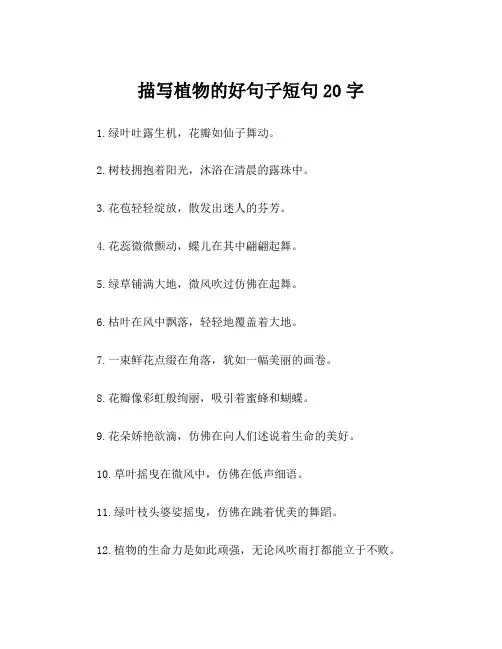 描写植物的好句子短句20字