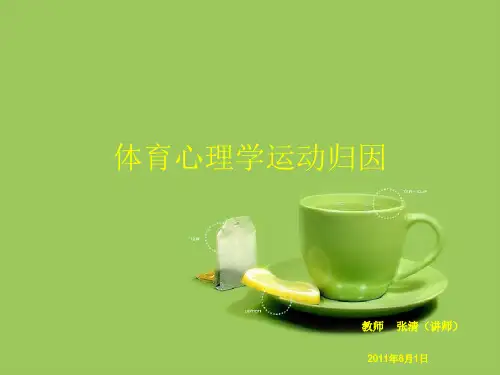体育心理学运动归因优秀PPT