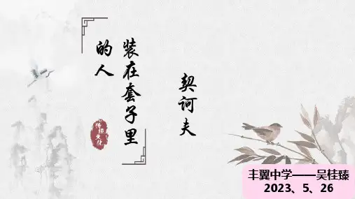 《装在套子里的人》ppt课件