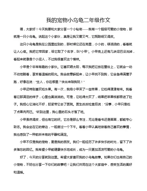 我的宠物小乌龟二年级作文