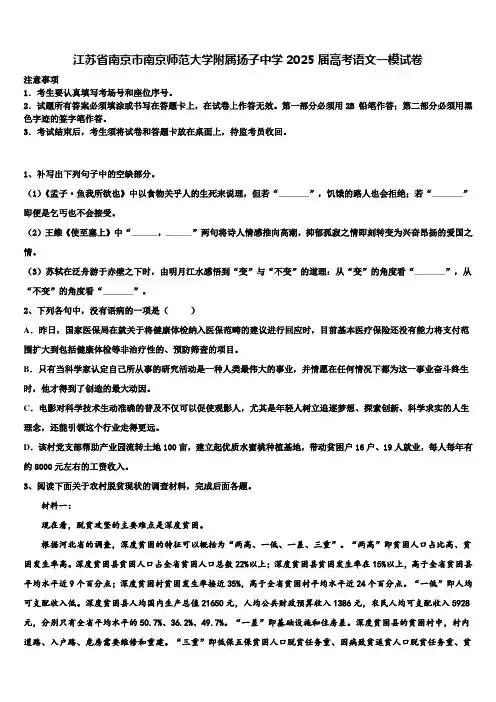 江苏省南京市南京师范大学附属扬子中学2025届高考语文一模试卷含解析