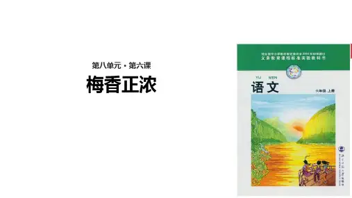 六年级上册语文课件8.6梅香正浓｜北师大版(共19张PPT)