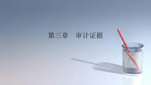 课件：审计-第三章(1)