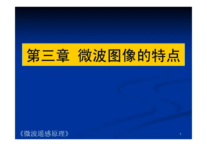 山东科技大学--微波遥感--3-4
