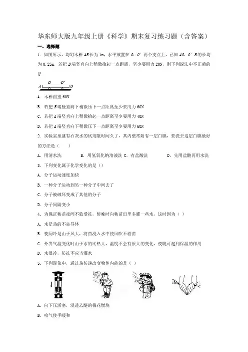 华东师大版九年级上册《科学》期末复习练习题(含答案)