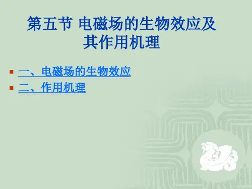 第五节电磁场的生物效应11级
