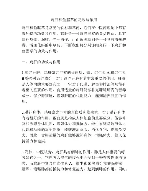 鸡肝和鱼腥草的功效与作用