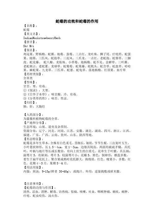 蛇莓的功效和蛇莓的作用