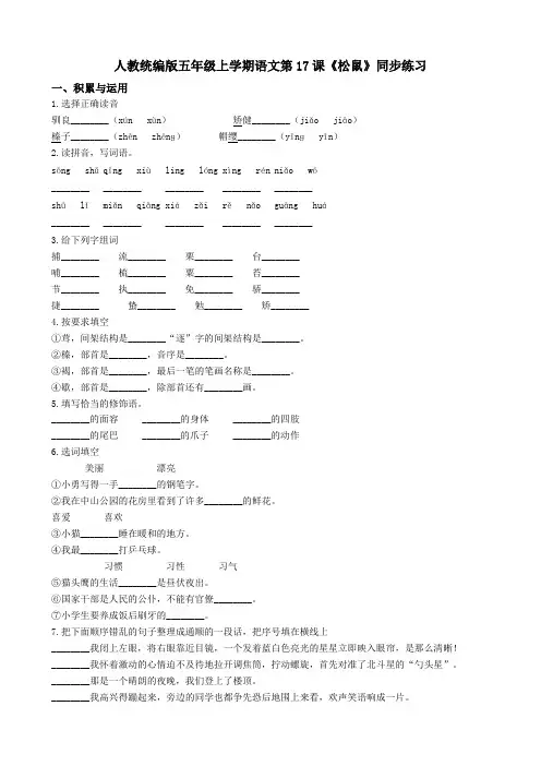 统编版新版五年级上册语文试题-第17课《松鼠》同步练习 人教统编版(含答案)