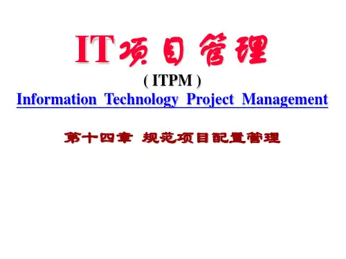 IT项目管理教材(PPT 45页)