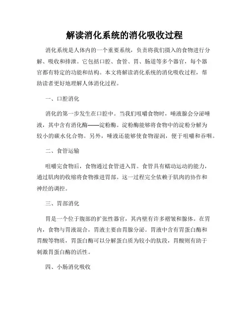 解读消化系统的消化吸收过程