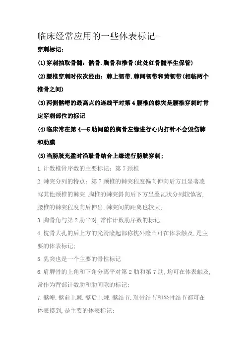 临床常用体表标志