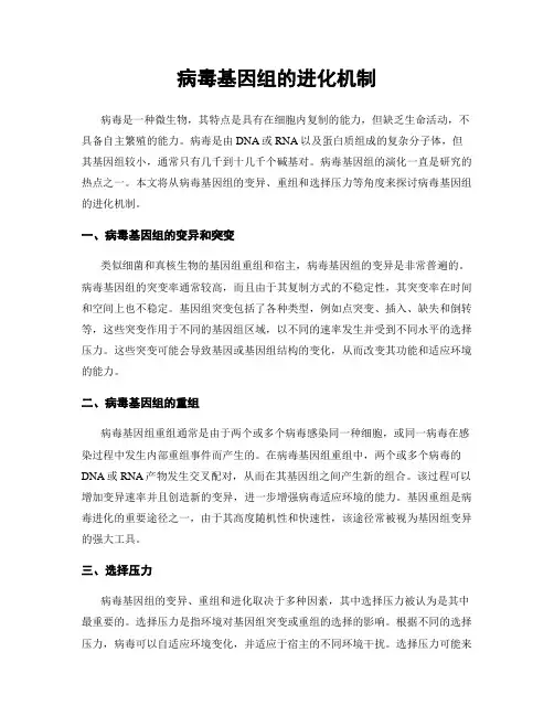 病毒基因组的进化机制