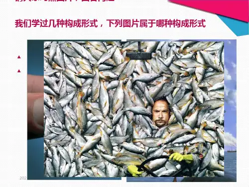 肌理构成_精品文档