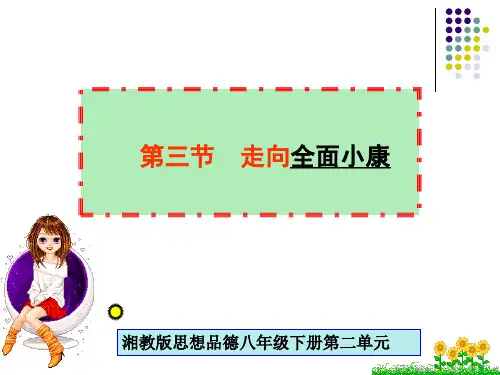 走向全面小康.ppt资料