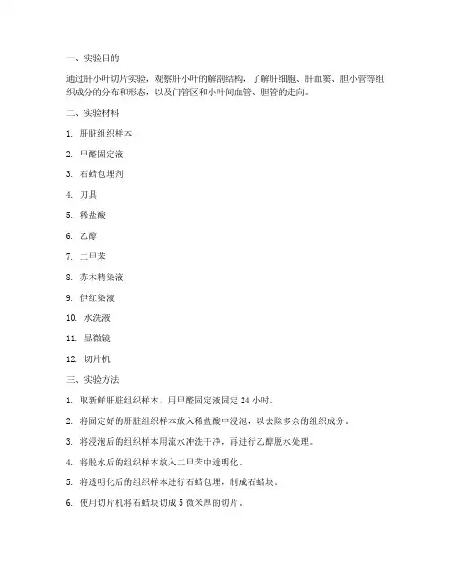 肝小叶切片实验报告