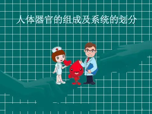 人体器官的组成及系统的划分医学PPT课件
