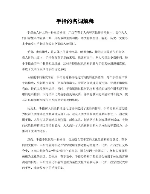 手指的名词解释