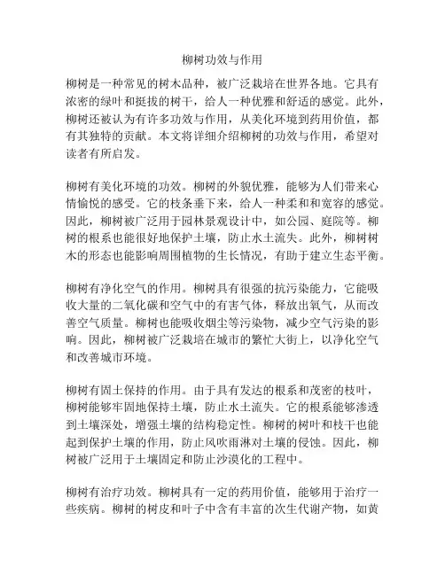 柳树功效与作用