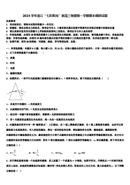 2024学年浙江“七彩阳光”新高三物理第一学期期末调研试题含解析