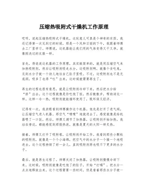 压缩热吸附式干燥机工作原理