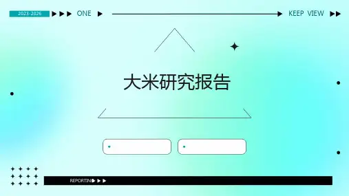 大米研究报告