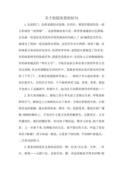关于校园美景的好句