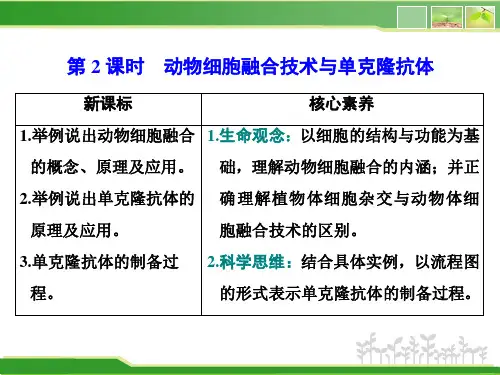 高中生物新人教版选择性必修3动物细胞融合技术与单克隆抗体课件(34张)
