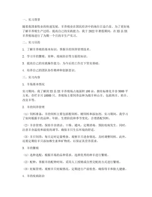 羊生产实习报告