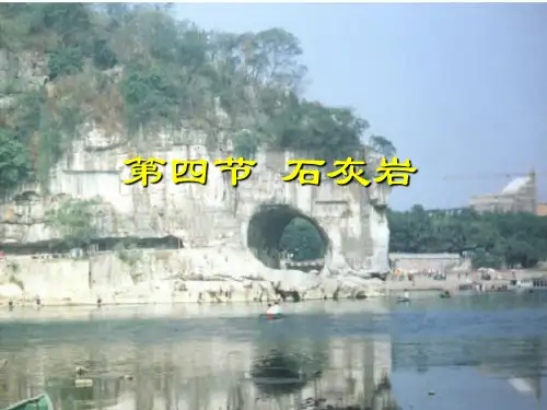 6章石灰岩解析