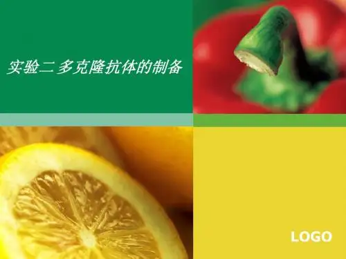 实验二多克隆抗体的制备