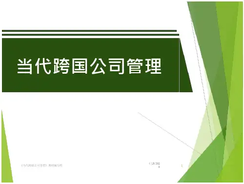 当代跨国公司管理第2版教学课件作者陈向东第三章-1课件