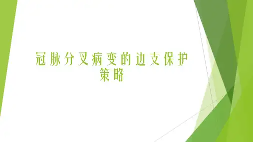 冠脉分叉病变的边支保护策略