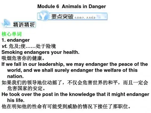 高三英语animals-in-danger课件(新2019)