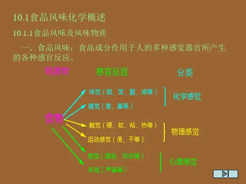 食品风味化学概述食品风味及风味物质一食品风