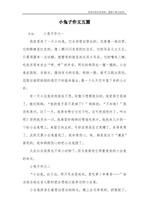 小兔子作文五篇