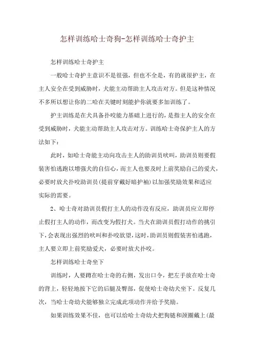 怎样训练哈士奇狗-怎样训练哈士奇护主