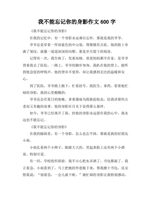 我不能忘记你的身影作文600字