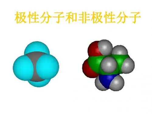 极性分子和非极性分子(新201907)