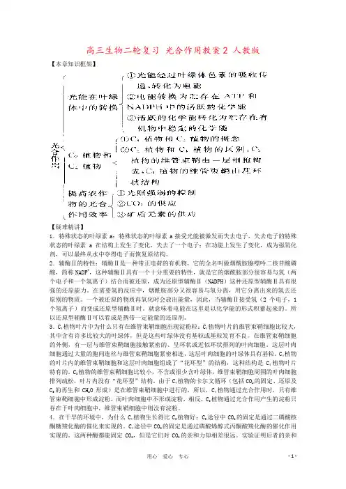 高三生物二轮复习 光合作用教案2 人教版