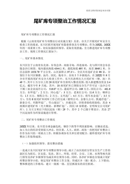 尾矿库专项整治工作情况汇报