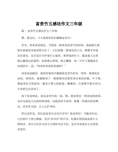 富贵竹五感法作文三年级