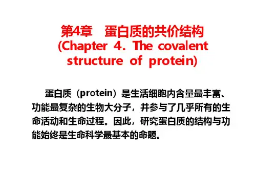 生物化学第4章 蛋白质的共价结构