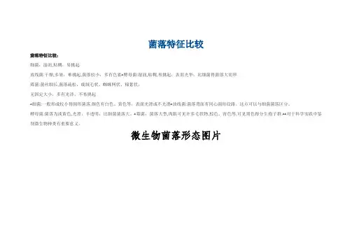 常见微生物菌落形态