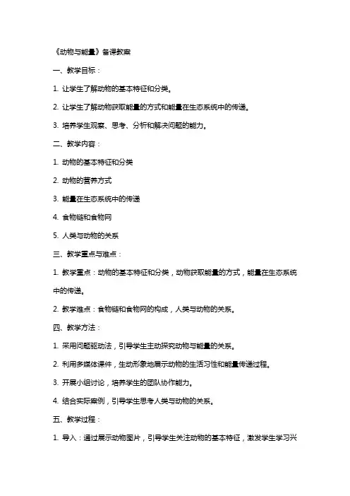 《动物与能量》备课教案
