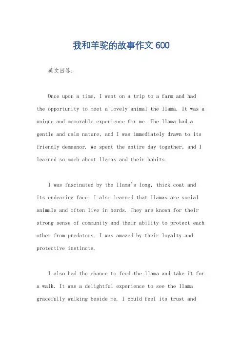 我和羊驼的故事作文600