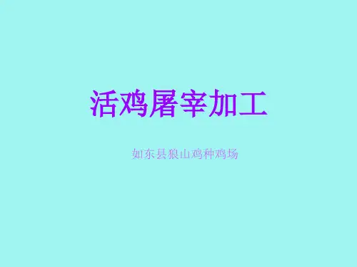 家禽屠宰